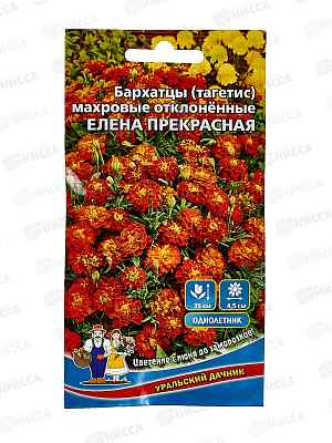 Бархатцы Елена прекрасная - махровые отклоненные Евро *10 УрД +