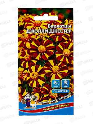 Бархатцы Джолли Джестер Евро *10 УрД +
