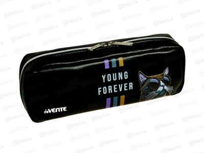 Пенал deVente  21*9*5см, Young Forever 3отд. молния, т-серый, 7029411