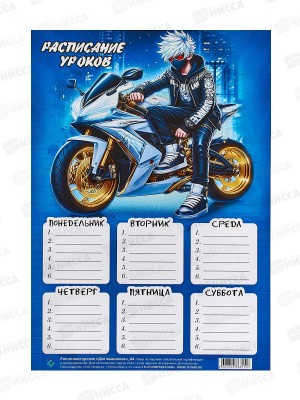 Расписание уроков ПГС 20*29 Для мальчиков *20