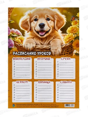 Расписание уроков ПГС 20*29 Домашние питомцы 1*20