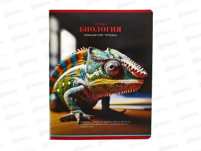 Тетрадь 40листов клетка  BG &quotФотосфера-биолгоия&quot, 12827*10/60