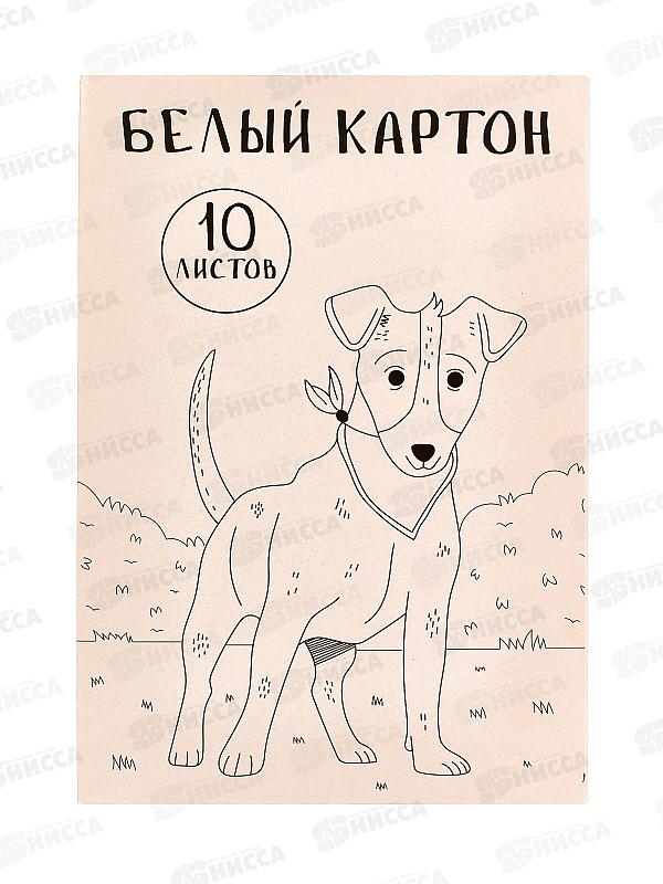 Картон Белый А4 СБ 10л Собака 2 БК10-03-01 *30