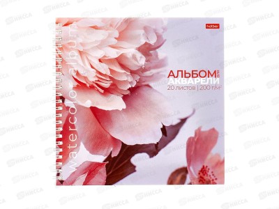 Альбом д/акварели 20л  Hatber 205*205 греб., Розовые лепестки 29975