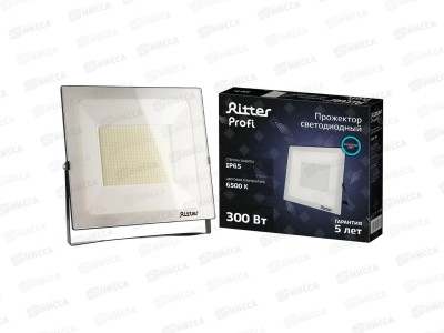 Прожектор светодиодный Ritter PROFI, 230В, 300Вт, 6500К, 30000Лм, IP65, черный, 53413