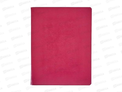 Тетрадь 96л кл. АКАД Viva Magenta 13990-ЕАС *20