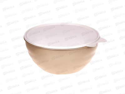 Миска 2,8л &quotWAVE&quot с/кр Металлик бежевый 431296842  БП *6