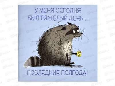 Блокнот 32л ФЕН Сонный енот 130*130мм 66167 *50