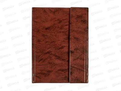 Папка с прижимом ДПС А5 коричневая 2738-104 *30