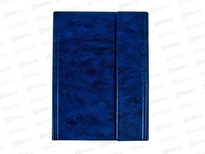 Папка с прижимом ДПС А5 синяя 2738-101 *30
