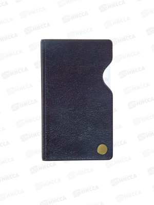 Футляр ДПС для пластиковых карт. Черный  (на винте) 2901.И-207 *20