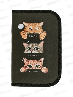Пенал 1-секц schoolФОРМАТ Три кота 130*200*20 ПТК1-ТК *40