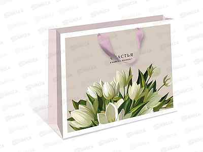 Пакет подарочный АД 50*40*15 Стандарт плюс 1326.776