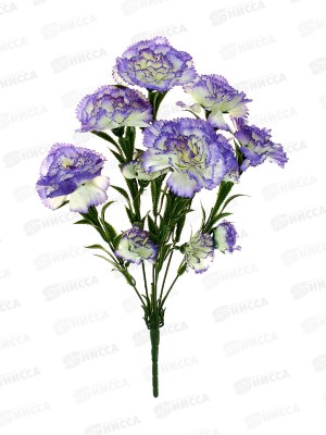 Букет Гвоздик 7голов 45см 6804 *20