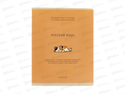 Тетрадь 48л лин. ПЗБМ Ми-ни-Ми Русский язык, 022471 *5/50