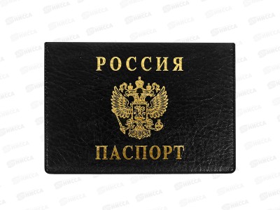 Обложка д/паспорта ДПС 2203.Г-107 горизонт.чёрная,  *36/288