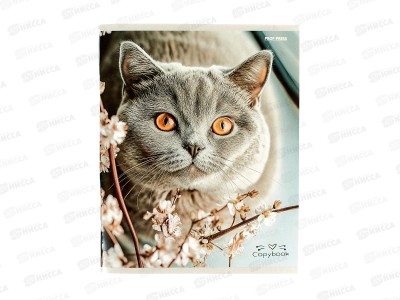 Тетрадь 96л клетка ПП Разные домашние коты, 96-4319 *6/48