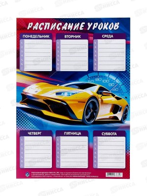 Расписание уроков ПГС 20*29 Авто 4 *20