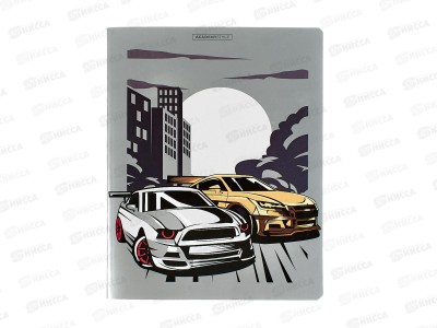 Тетрадь 48л кл. АКАД Экстрим, EAC-15004/5 *20/60