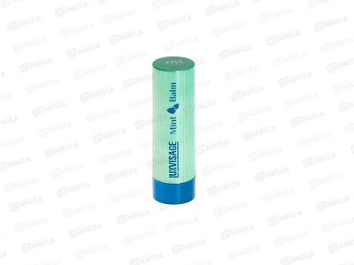 LUXVISAGE Помада-бальзам д/г Mint Balm 101 *4