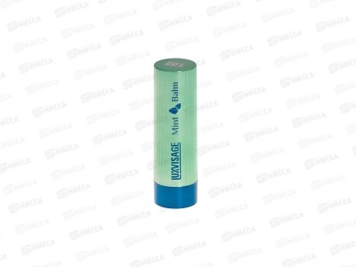 LUXVISAGE Помада-бальзам д/г Mint Balm 102 *4