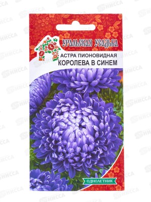 Астра Королева в синем  Евро УУ *10 УрД +