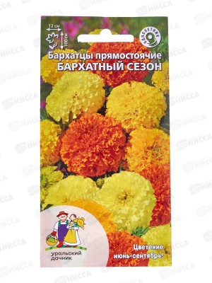 Бархатцы Бархатный сезон Евро *10 УрД +