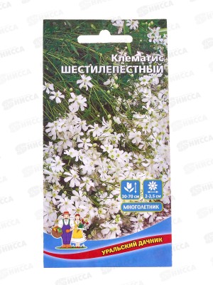 Клематис Шестилепестный Евро *10 УрД +