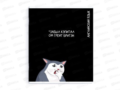Тетрадь 48л кл. ФЕН Коты мемы. Английский язык, 69828  *16/48