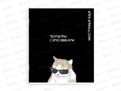 Тетрадь 48л кл. ФЕН Коты мемы. Иностранный язык, 69829  *16/48