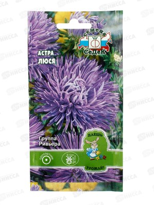 Астра Люся (игольчатая, т-сиреневая) ДУ (Евро, 0,2) СеДек *10 +
