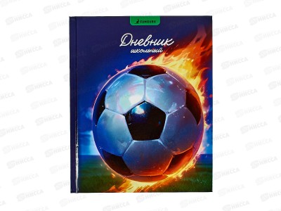 Дневник &quotПобедный мяч&quot 1-11 класс, твердый переплет, ТМ-Д-08  *30