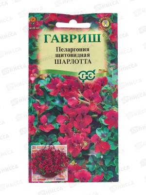 Пеларгония Шарлотта ампельная 3шт Н22  *10 ГШ +