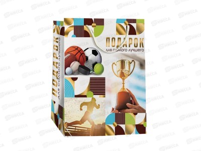 Пакет бум. лам. L 26,4*13,6*32,7 Микс мужской №3