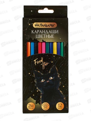 Карандаши 12цв ПандаРог &quotMystery cat&quot пластик, 15-7502 *12/240