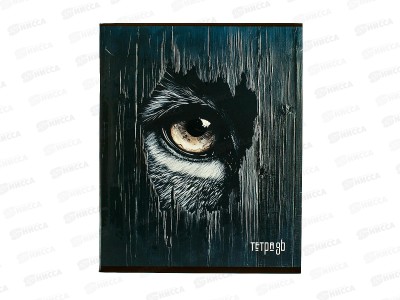Тетрадь 48л кл. Апплика Взгляд С9599-08*80