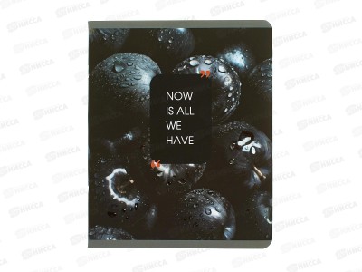 Тетрадь 48л кл. ЭКСМ Natural Black ТКЛ489677 *10/100