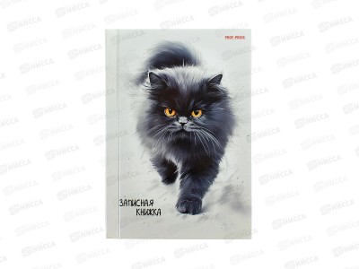 Записная книжка ПП А6 96л Пушистый котик - 5, 96-7562
