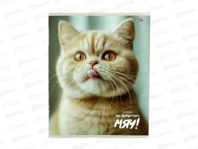 Тетрадь 48л клетка Profit Забавные коты - 4, 48-9071 *100
