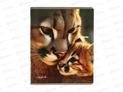 Тетрадь 48л клетка Collezione Мамы и детёныши - 1, Т48-5348  *5/100