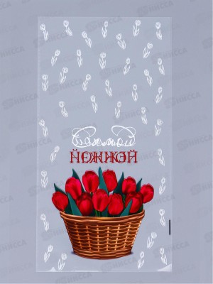 Пакет БОПП &quotСамой нежной&quot 20*35см 10707215