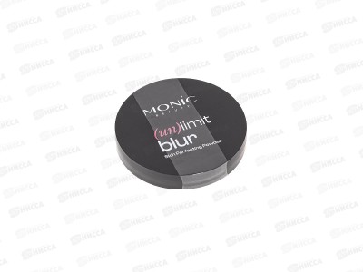 Monic Beauty пудра с эффектом S.F. №01 Very Fair *3