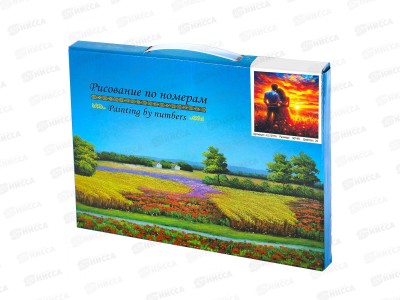Картина по номерам 30*40 Влюбленная пара  АL12976*30