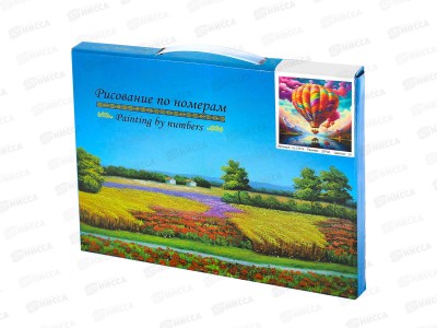 Картина по номерам 30*40 Воздушный шар  АL12974*30