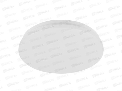 Светильник светодиодный ДПБ01 Классика  24Вт 4000К 300*63мм, 9013