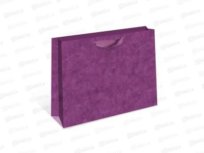 Пакет подарочный АД 50*40*15 Стандарт плюс 2326.168