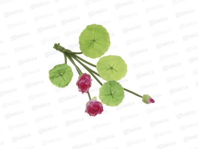 Лотос плавающий для пруда 26см INBLOOM 171-030  г