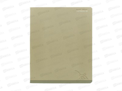 Тетрадь 48л кл. B.V. Total Beige  7-48-1390*4/64