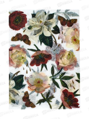 Папка-уголок  B.V. А4 Flora Пионы, 14-038/11 *10/100
