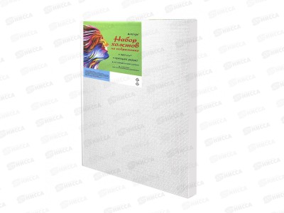 Набор холостов на подрамнике Alingar,3шт,20*30,30*40,40*50 AL11409